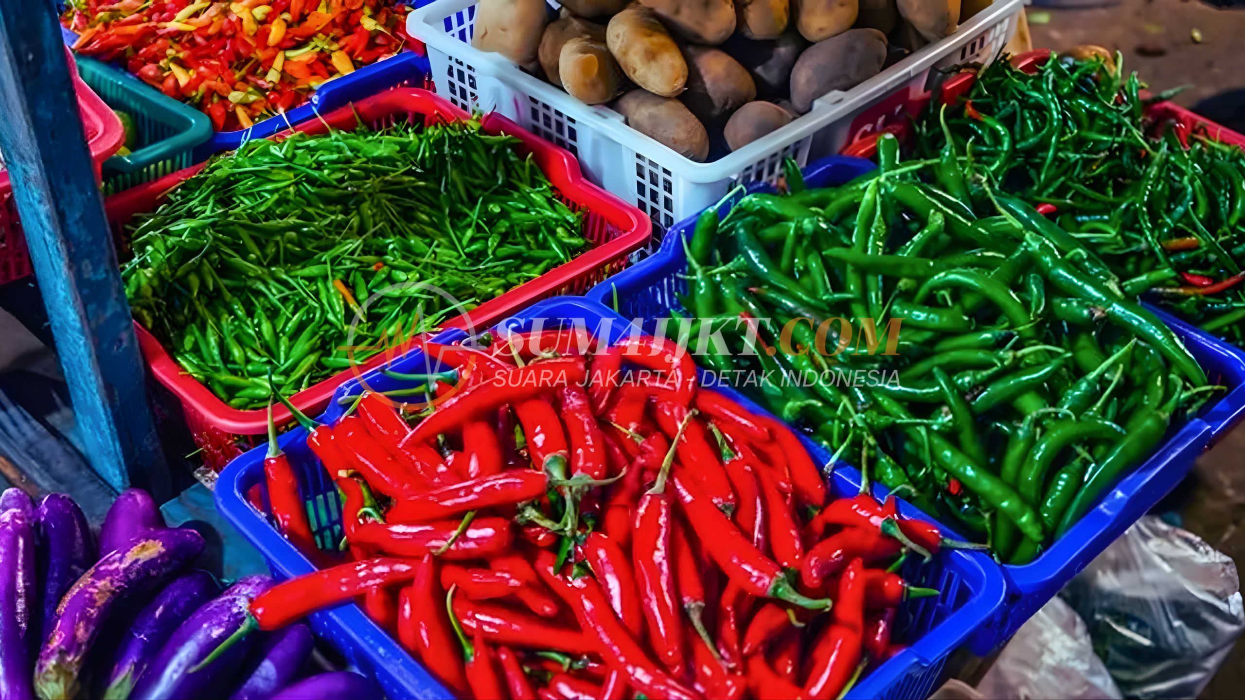Dampak Turunnya Cabai Rawit Merah bagi Rumah Tangga dan Pedagang