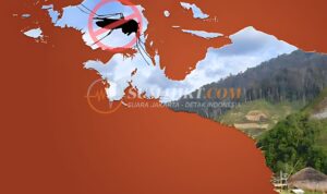 Darurat AIDS TBC Malaria Papua Pegunungan Jadi Sorotan Kemenkes