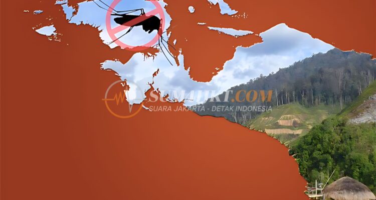 Darurat AIDS TBC Malaria Papua Pegunungan Jadi Sorotan Kemenkes
