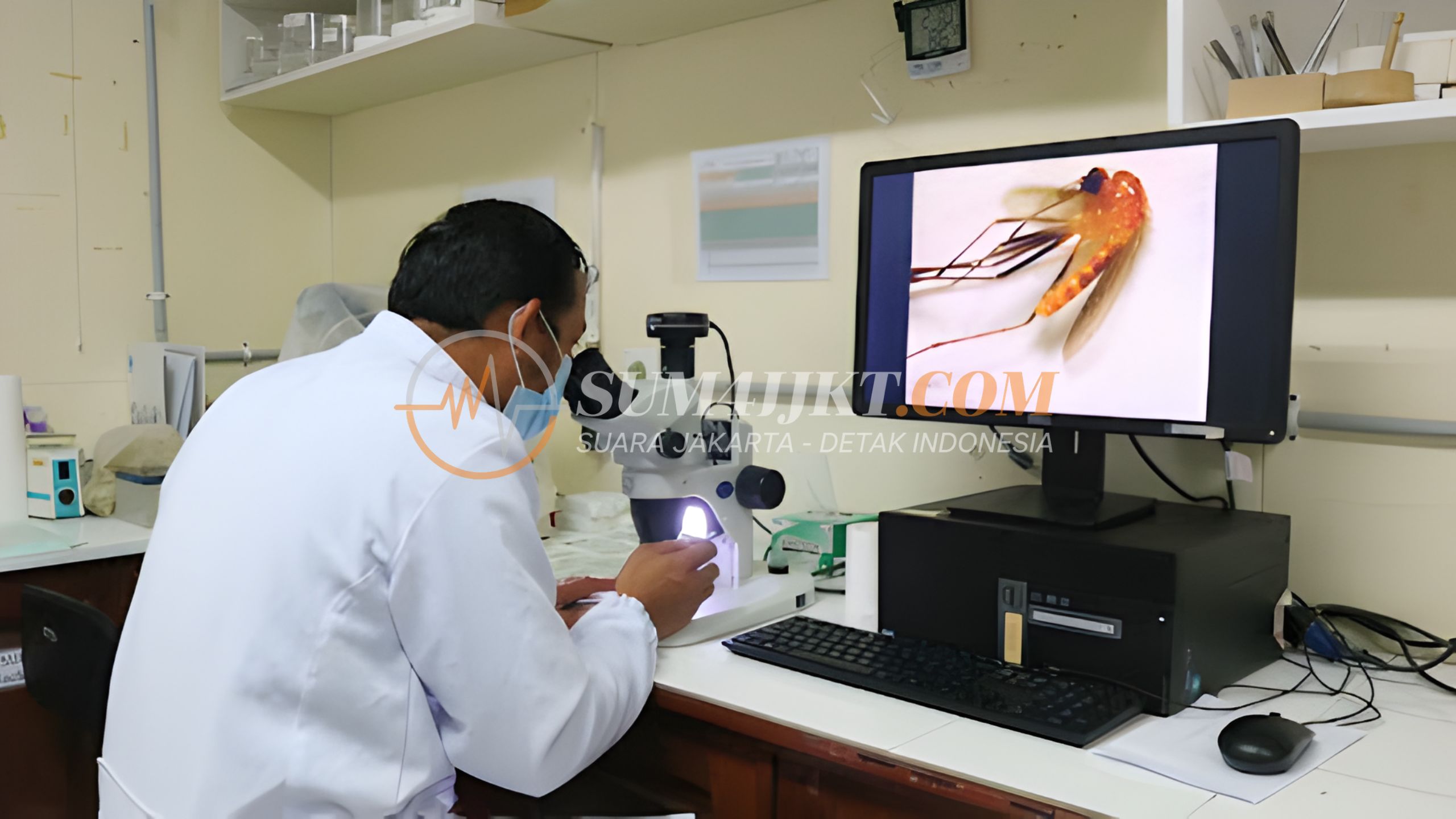 Tantangan Penanganan Darurat AIDS TBC Malaria Papua Pegunungan