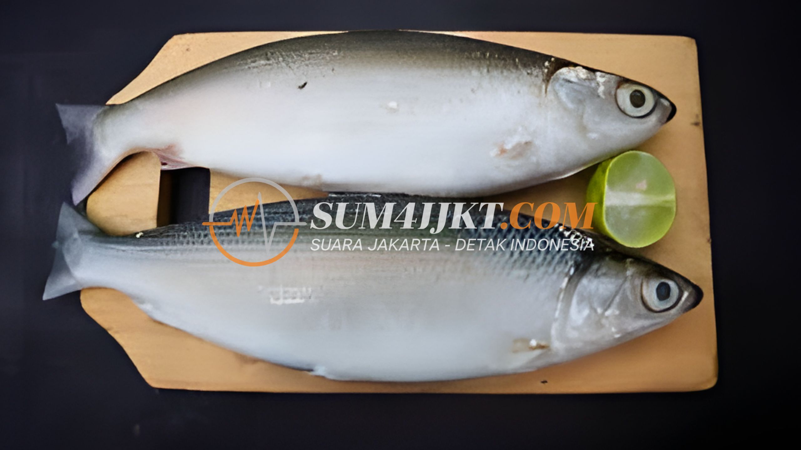 Kandungan Nutrisi dalam Ikan yang Penting bagi Tubuh