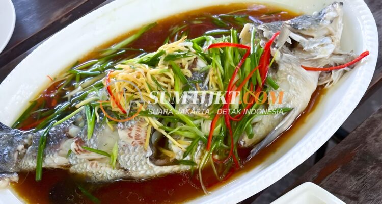 Manfaat Ikan Steam untuk Kesehatan dan Kenikmatan Kuliner Sehari-hari