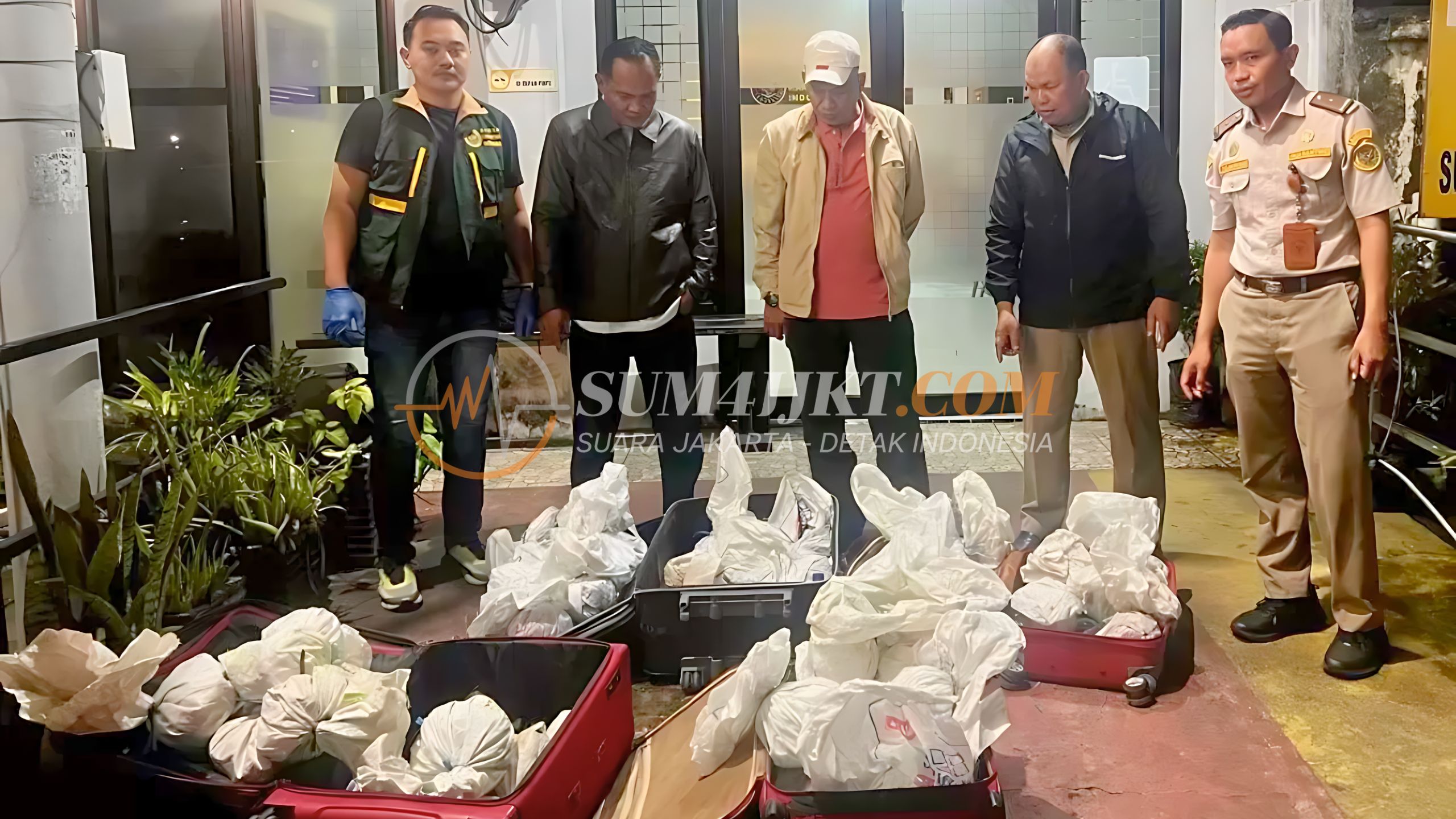 Kronologi 53 Kepiting Kenari Ditemukan dalam Koper tanpa Pemilik