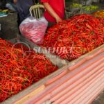 Harga Cabai Rawit Merah Hari Ini 26 Maret 2026 Turun, Ini Penyebabnya