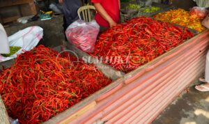 Harga Cabai Rawit Merah Hari Ini 26 Maret 2026 Turun, Ini Penyebabnya