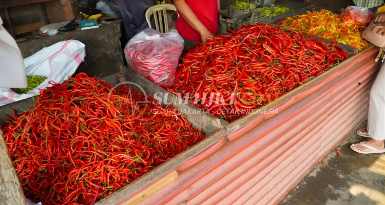 Harga Cabai Rawit Merah Hari Ini 26 Maret 2026 Turun, Ini Penyebabnya
