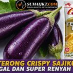 Resep Terong Crispy Sajiku Anti Gagal Dan Super Renyah