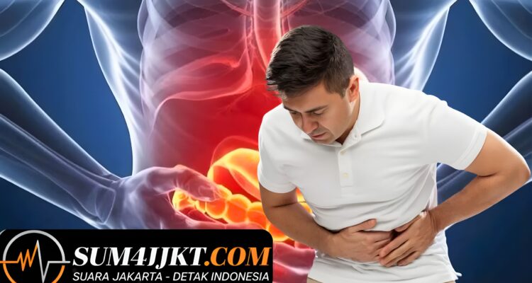 Gaya Hidup Serba Instan Berdampak Pada Kesehatan Usus, Ini Temuan Terbaru