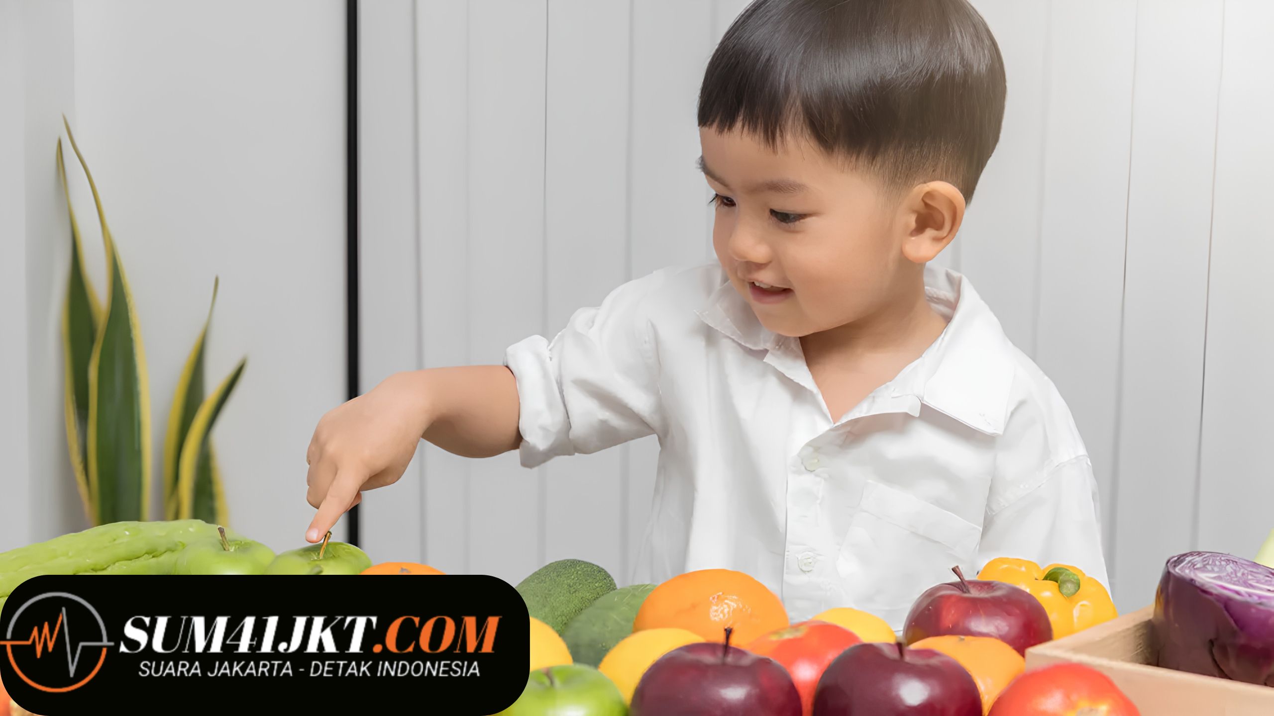 Nutrisi Penting untuk Bayi (0–12 Bulan)